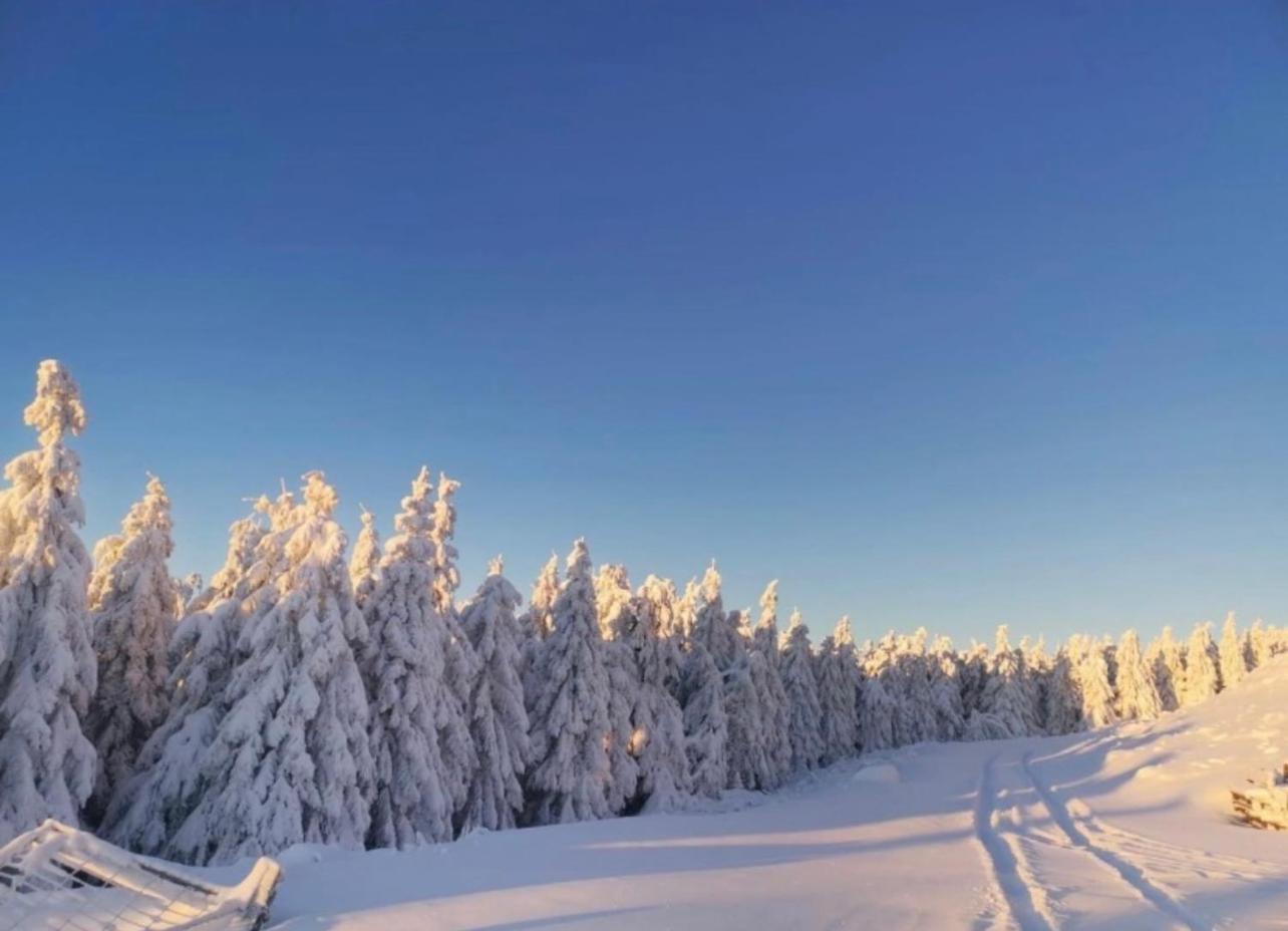 Ferienwohnung Tannhaeuser Braunlage Esterno foto
